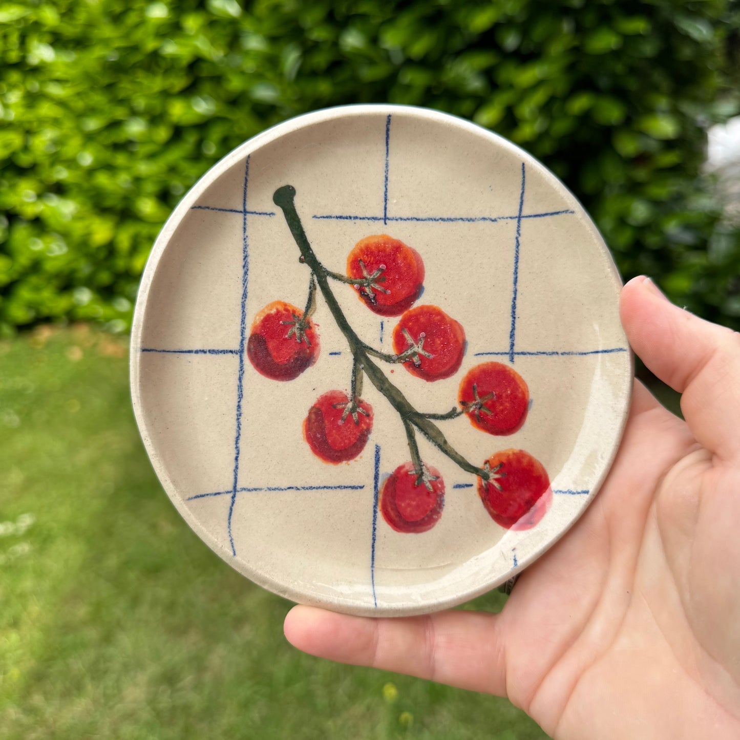 Handmade ceramic tomato design side plate with blue grid pattern held outdoors